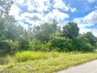 Lehigh Acres Area Lot For Sale in Lehigh Acres Florida