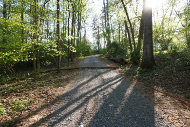 ENGLISH CREEK FRONTAGE - photo 10
