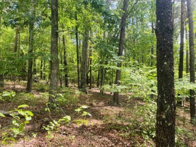 Leesville Lake Lot For Sale in Pittsville Virginia