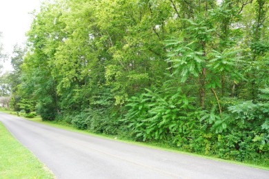 ENGLISH CREEK FRONTAGE - photo 27