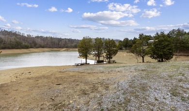 2.4 acres of lakefront property with open views and private - photo 15