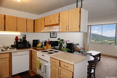 Seller is offering a VA ASSUMABLE LOAN with approx. payoff of - photo 4