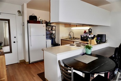 Seller is offering a VA ASSUMABLE LOAN with approx. payoff of - photo 5