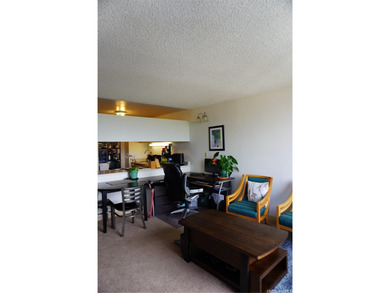 Seller is offering a VA ASSUMABLE LOAN with approx. payoff of - photo 6