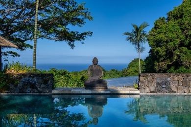 Welcome to Hale Laule'a, the House of Peace. A property that is - photo 27