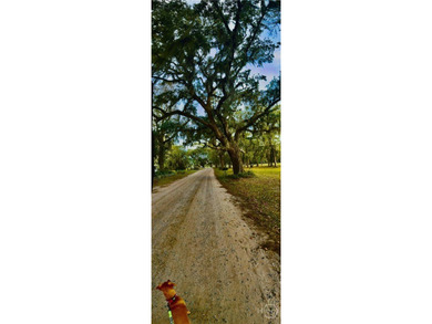 Enjoy Life in historic Sunbury, Georgia. This beautiful 4BR/3 - photo 29