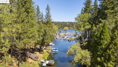 Lakefront Retreat at Pine Mountain Lake - Steps from the Marina! - Lake Home For Sale in Groveland, California