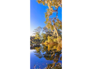 Enjoy Life in historic Sunbury, Georgia. This beautiful 4BR/3 - photo 43