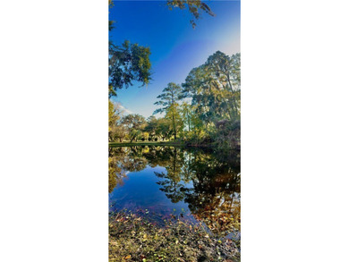 Enjoy Life in historic Sunbury, Georgia. This beautiful 4BR/3 - photo 44