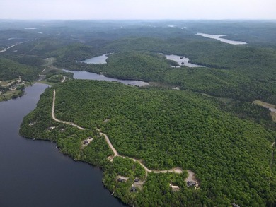 Domaine Ogilvie -- La Foret du Cerf #15 - Large building-ready - photo 9