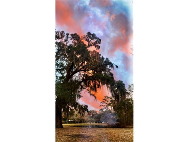 Enjoy Life in historic Sunbury, Georgia. This beautiful 4BR/3 - photo 49