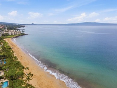 Refined island living awaits in this beautifully upgraded - photo 2