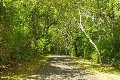Rare waterfront opportunity in Jamestown - private, west-facing - photo 5