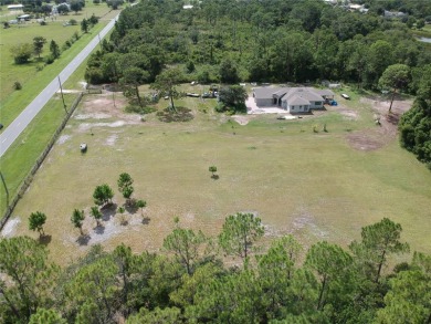 (private lake, pond, creek) Acreage For Sale in Saint Cloud Florida