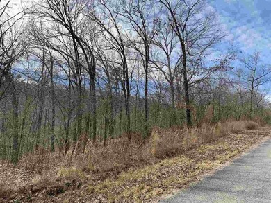 Great Lot in a desirable neighborhood for building a nice home! - photo 2