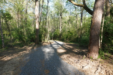 ENGLISH CREEK FRONTAGE - photo 13