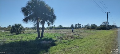 Lehigh Acres Area Lot For Sale in Lehigh Acres Florida