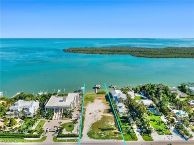 One of the Best waterfront properties on the West Coast of - photo 3