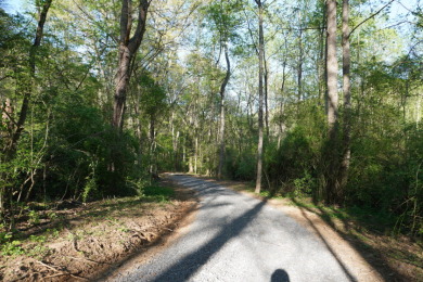 ENGLISH CREEK FRONTAGE - photo 14
