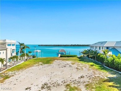 One of the Best waterfront properties on the West Coast of - photo 10