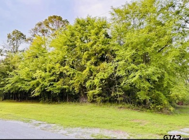 Lake Palestine Lot For Sale in Bullard Texas