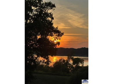 Welcome to Racoon Lake. This isn't just a property, but a dream - photo 3