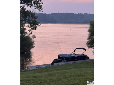 Welcome to Racoon Lake. This isn't just a property, but a dream - photo 4