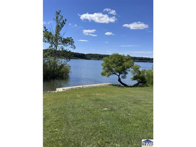 Welcome to Racoon Lake. This isn't just a property, but a dream - photo 7