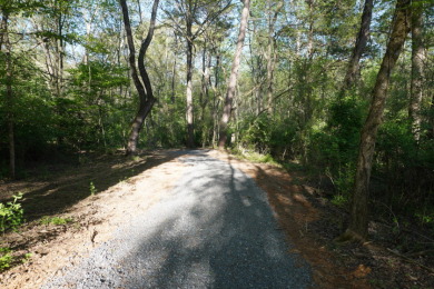 ENGLISH CREEK FRONTAGE - photo 12