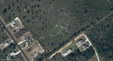 Lake Lot For Sale in Lake Placid, Florida