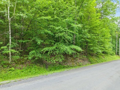 Imagine owning a 10-acre wooded parcel with a seasonal cabin - photo 11