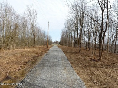 DOCK PRE-APPROVED! Discover Rough River lakefront property for - photo 11