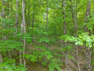Imagine owning a 10-acre wooded parcel with a seasonal cabin - photo 12