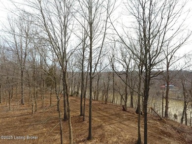 DOCK PRE-APPROVED! Discover Rough River lakefront property for - photo 12