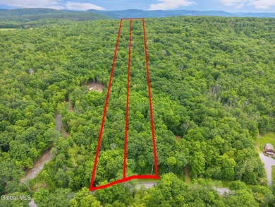 Imagine owning a 10-acre wooded parcel with a seasonal cabin - photo 13