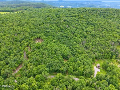 Imagine owning a 10-acre wooded parcel with a seasonal cabin - photo 14