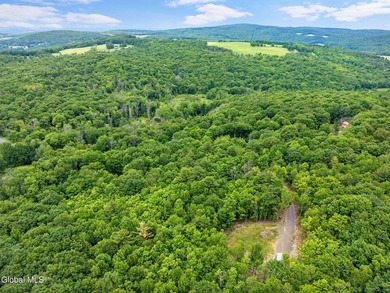 Imagine owning a 10-acre wooded parcel with a seasonal cabin - photo 15