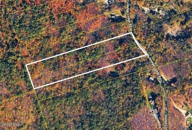 Imagine owning a 10-acre wooded parcel with a seasonal cabin - photo 16