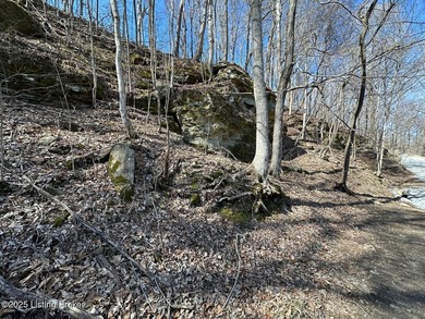 DOCK PRE-APPROVED! Discover Rough River lakefront property for - photo 17