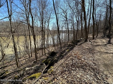 DOCK PRE-APPROVED! Discover Rough River lakefront property for - photo 19