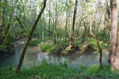 ENGLISH CREEK FRONTAGE - photo 1