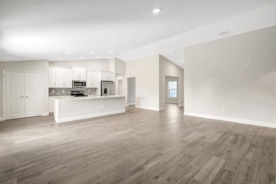 THE AMAZING IBIS MODEL. BUILT BY AWARD WINNING SYNERGY HOMES - photo 6