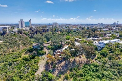 Perched at the very end of Falcon St in the prime San Diego - photo 7
