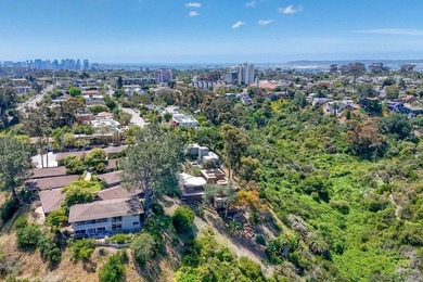 Perched at the very end of Falcon St in the prime San Diego - photo 10
