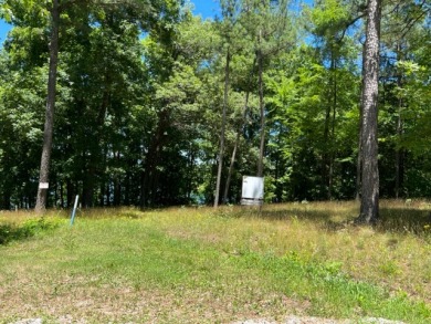 REDUCED! Beautiful views of Rough River Lake! - photo 2