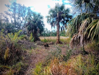 Excellent water front lot on the canal with direct access to the - photo 2