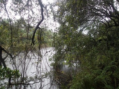 Excellent water front lot on the canal with direct access to the - photo 4