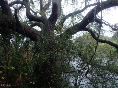Excellent water front lot on the canal with direct access to the - photo 5