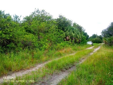 Excellent water front lot on the canal with direct access to the - photo 6