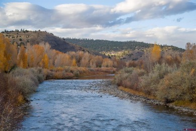 San Juan River Lot For Sale in Pagosa Springs Colorado